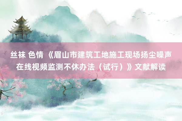 丝袜 色情 《眉山市建筑工地施工现场扬尘噪声在线视频监测不休办法（试行）》文献解读