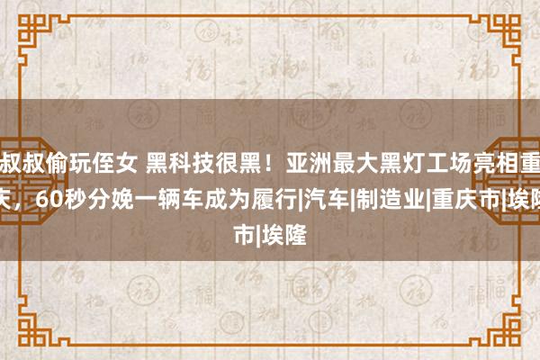 叔叔偷玩侄女 黑科技很黑！亚洲最大黑灯工场亮相重庆，60秒分娩一辆车成为履行|汽车|制造业|重庆市|埃隆