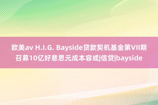 欧美av H.I.G. Bayside贷款契机基金第VII期召募10亿好意思元成本容或|信贷|bayside