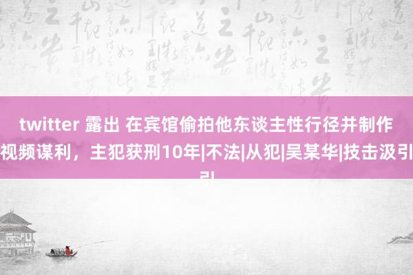 twitter 露出 在宾馆偷拍他东谈主性行径并制作视频谋利，主犯获刑10年|不法|从犯|吴某华|技击汲引