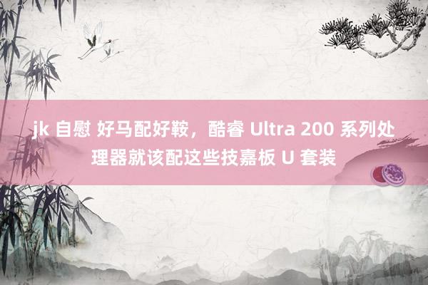jk 自慰 好马配好鞍，酷睿 Ultra 200 系列处理器就该配这些技嘉板 U 套装