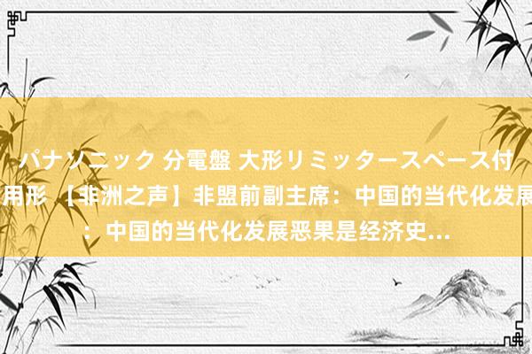パナソニック 分電盤 大形リミッタースペース付 露出・半埋込両用形 【非洲之声】非盟前副主席:中国的当代化发展恶果是经济史...