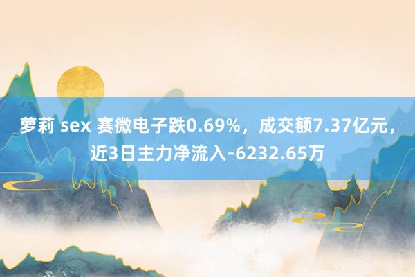 萝莉 sex 赛微电子跌0.69%，成交额7.37亿元，近3日主力净流入-6232.65万