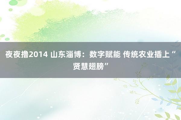 夜夜撸2014 山东淄博：数字赋能 传统农业插上“贤慧翅膀”