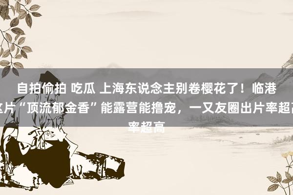 自拍偷拍 吃瓜 上海东说念主别卷樱花了！临港这片“顶流郁金香”能露营能撸宠，一又友圈出片率超高