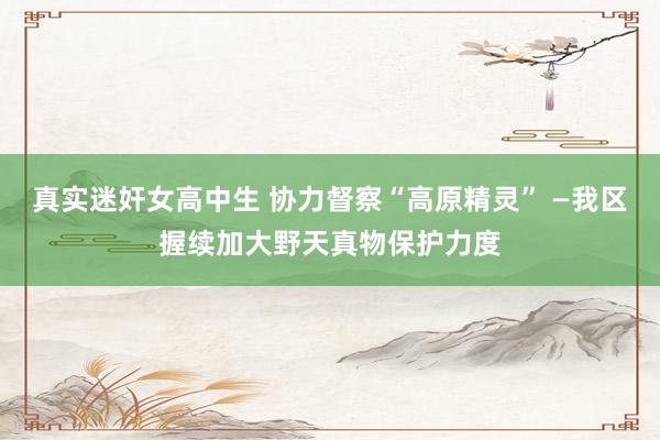 真实迷奸女高中生 协力督察“高原精灵” —我区握续加大野天真物保护力度