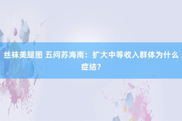 丝袜美腿图 五问苏海南：扩大中等收入群体为什么症结？