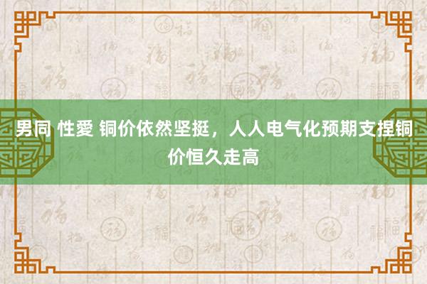 男同 性愛 铜价依然坚挺，人人电气化预期支捏铜价恒久走高