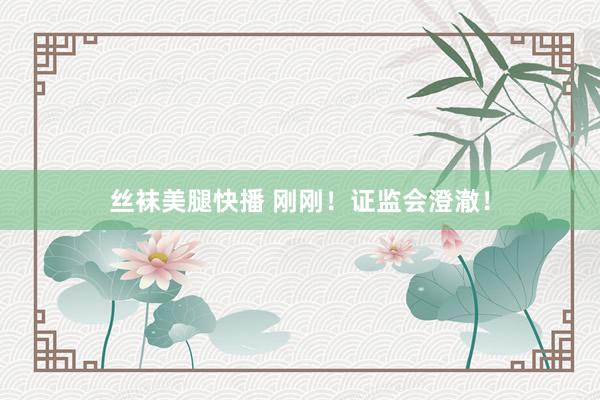 丝袜美腿快播 刚刚！证监会澄澈！