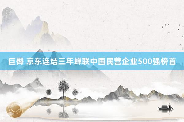 巨臀 京东连结三年蝉联中国民营企业500强榜首