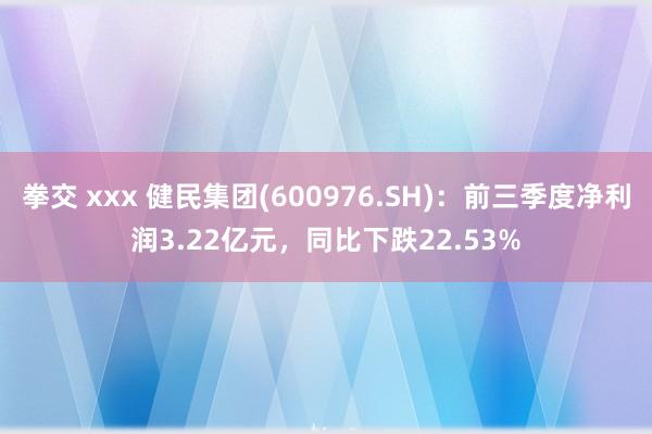 拳交 xxx 健民集团(600976.SH)：前三季度净利润3.22亿元，同比下跌22.53%