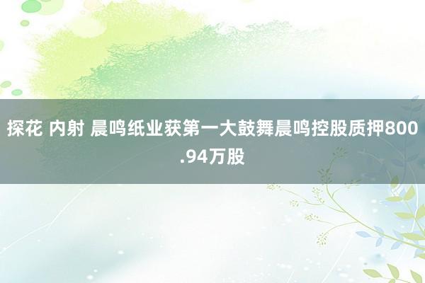 探花 内射 晨鸣纸业获第一大鼓舞晨鸣控股质押800.94万股