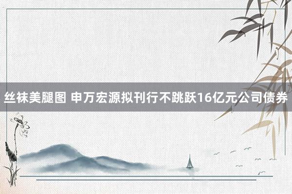 丝袜美腿图 申万宏源拟刊行不跳跃16亿元公司债券
