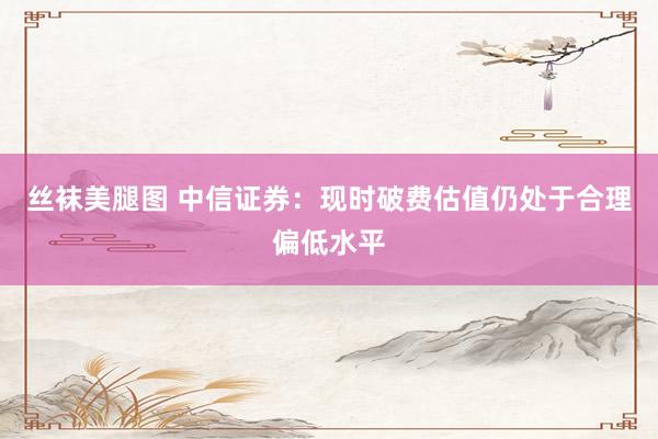 丝袜美腿图 中信证券：现时破费估值仍处于合理偏低水平