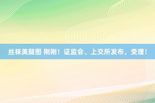 丝袜美腿图 刚刚！证监会、上交所发布，受理！